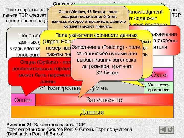 Состав и назначение полей заголовка Порядковый Пакеты протокола TCP переносятся бита). Если в-номер (Sequence