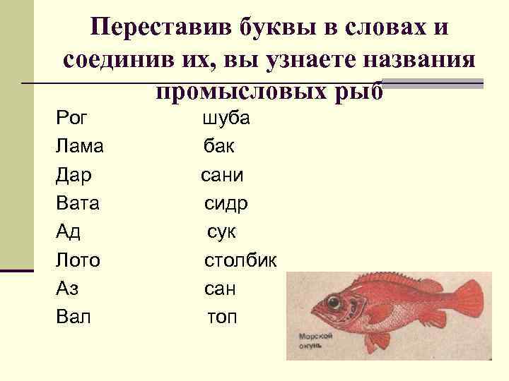 Переставив буквы в словах и соединив их, вы узнаете названия промысловых рыб Рог Лама