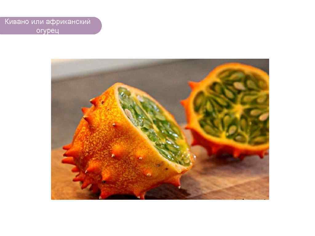 Кивано или африканский огурец ЧТО ЕСТЬ В ЛЕСУ? 