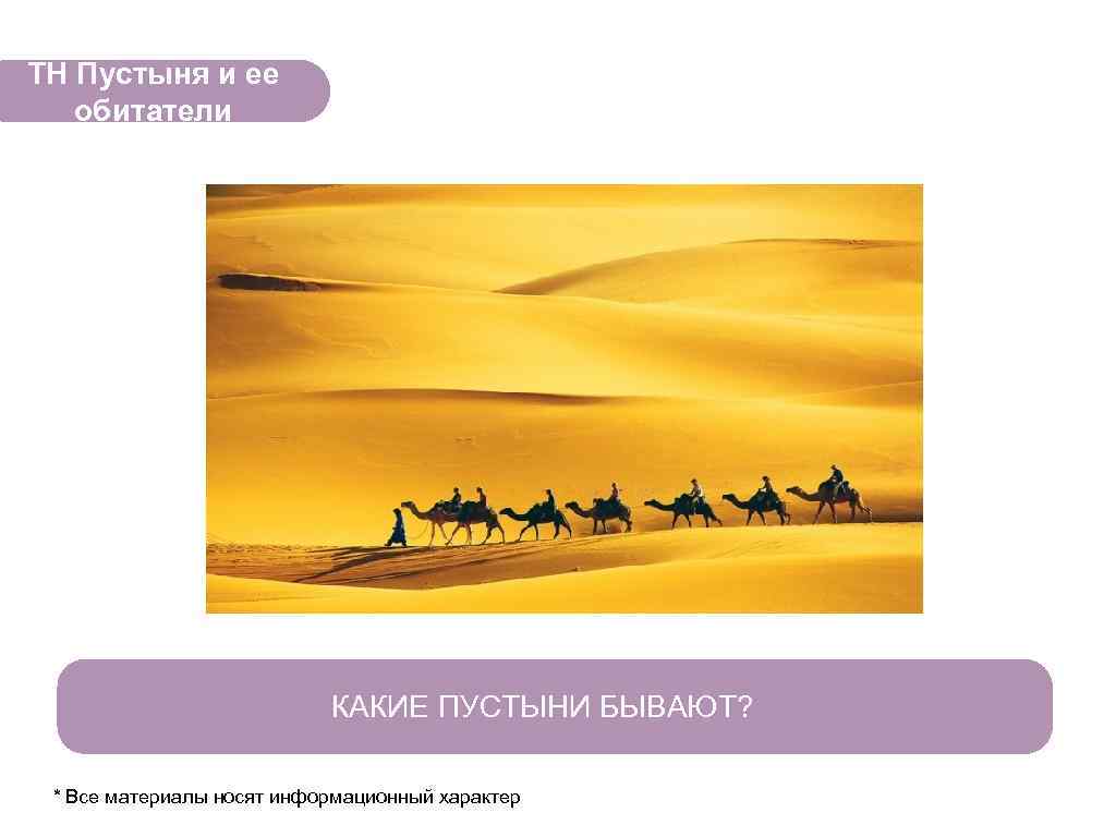 ТН Пустыня и ее обитатели КАКИЕ ПУСТЫНИ БЫВАЮТ? * Все материалы носят информационный характер