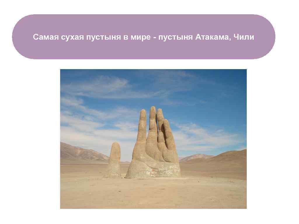 Самая сухая пустыня в мире - пустыня Атакама, Чили ЧТО ЕСТЬ В ЛЕСУ? 