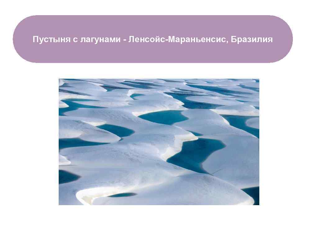 Пустыня с лагунами - Ленсойс-Мараньенсис, Бразилия ЧТО ЕСТЬ В ЛЕСУ? 