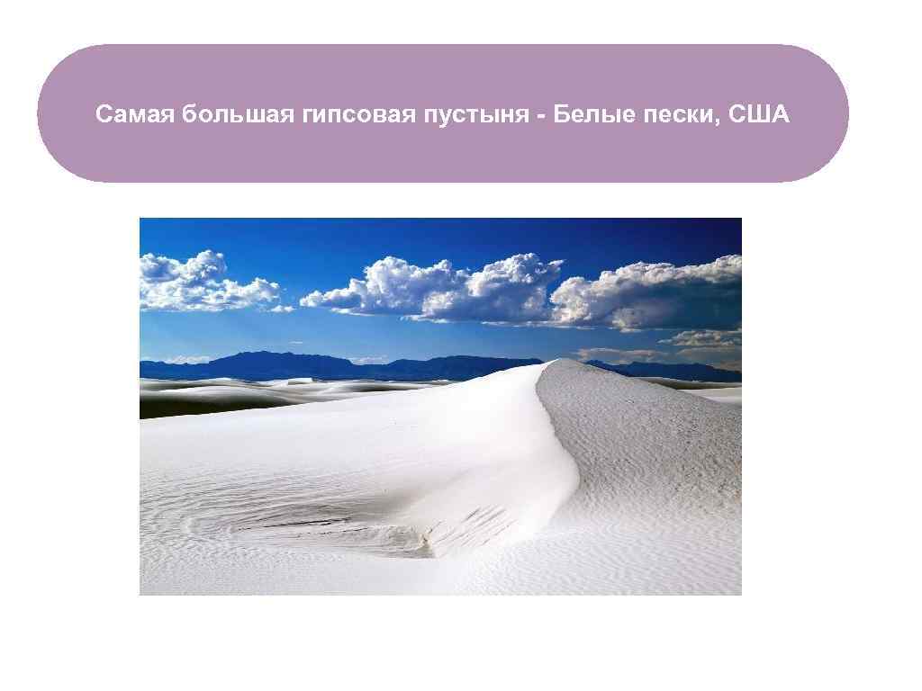 Самая большая гипсовая пустыня - Белые пески, США ЧТО ЕСТЬ В ЛЕСУ? 