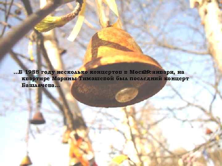 . . . В 1988 году несколько концертов в Москве января, на. 29 квартире