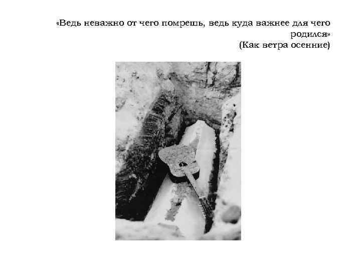  «Ведь неважно от чего помрешь, ведь куда важнее для чего родился» (Как ветра