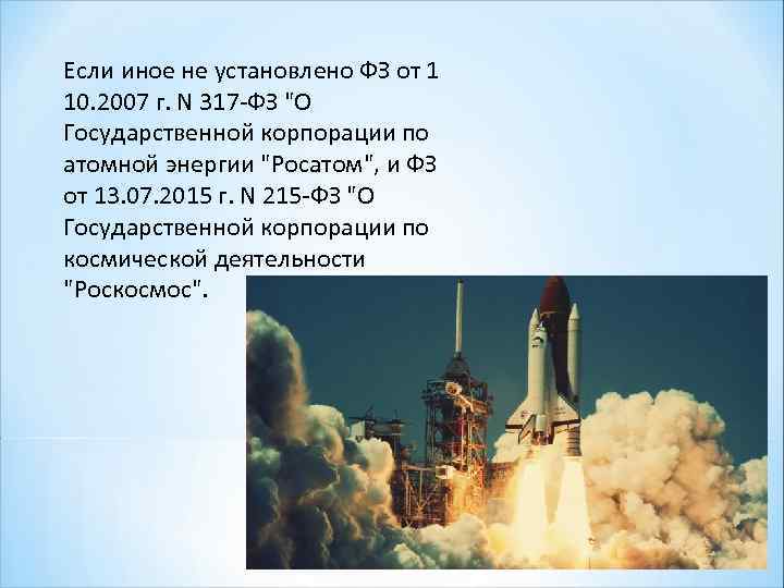 Если иное не установлено ФЗ от 1 10. 2007 г. N 317 -ФЗ 