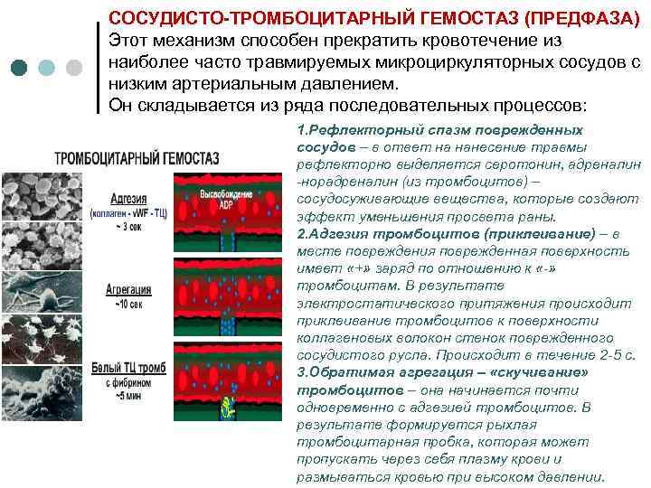 СОСУДИСТО-ТРОМБОЦИТАРНЫЙ ГЕМОСТАЗ (ПРЕДФАЗА) Этот механизм способен прекратить кровотечение из наиболее часто травмируемых микроциркуляторных сосудов