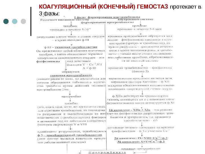 КОАГУЛЯЦИОННЫЙ (КОНЕЧНЫЙ) ГЕМОСТАЗ протекает в 3 фазы: 