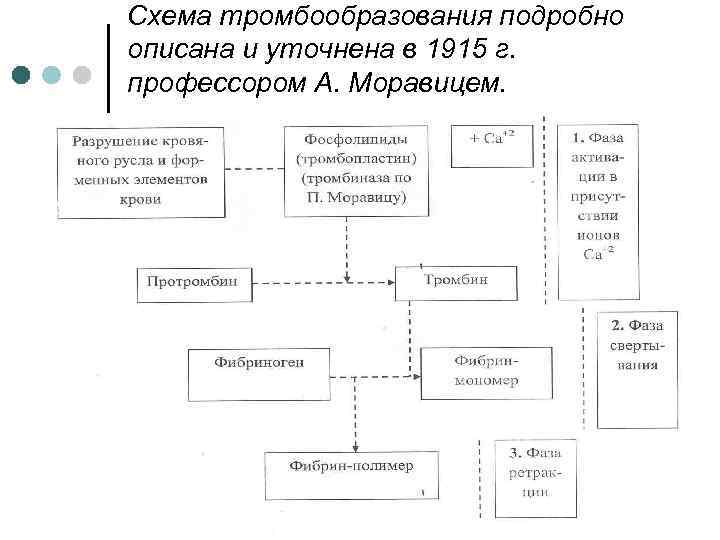 Схема тромбообразования подробно описана и уточнена в 1915 г. профессором А. Моравицем. 