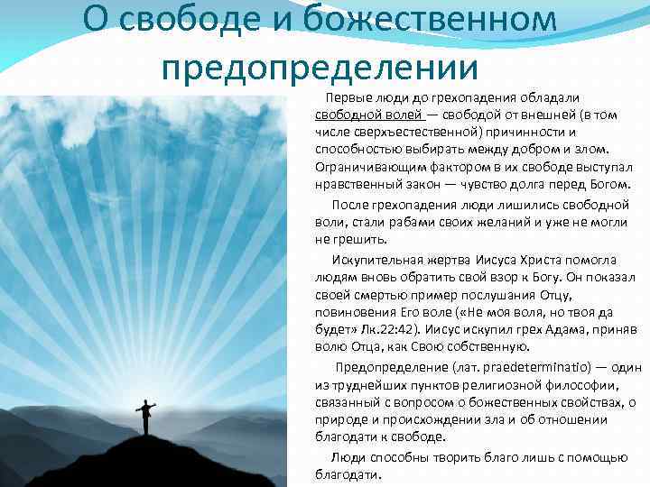 О свободе и божественном предопределении Первые люди до грехопадения обладали свободной волей — свободой