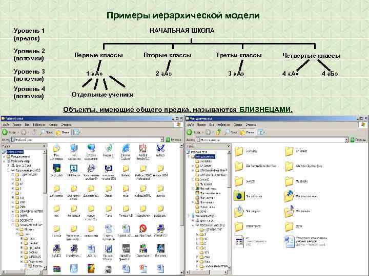 Примеры иерархической модели Уровень 1 (предок) Уровень 2 (потомки) Уровень 3 (потомки) Уровень 4