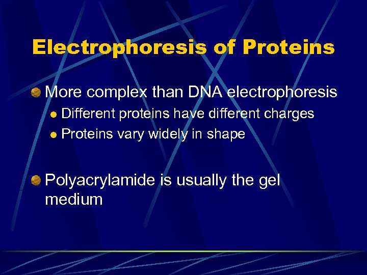 Electrophoresis of Proteins More complex than DNA electrophoresis Different proteins have different charges l
