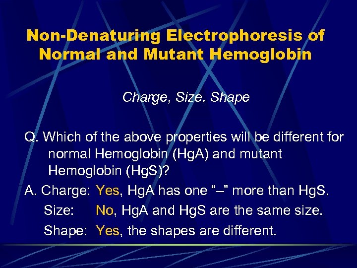 Non-Denaturing Electrophoresis of Normal and Mutant Hemoglobin Charge, Size, Shape Q. Which of the