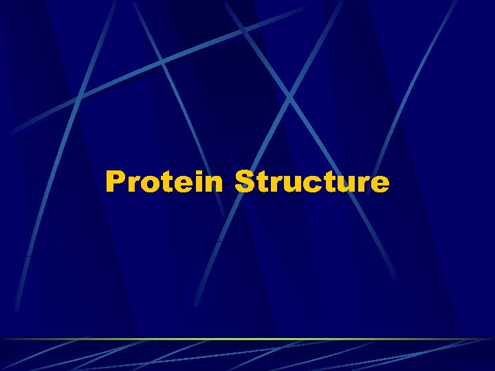 Protein Structure 