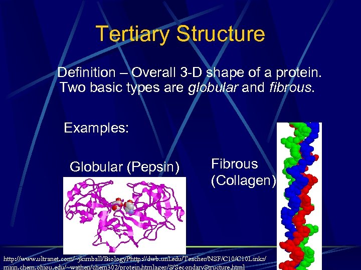 Tertiary Structure Definition – Overall 3 -D shape of a protein. Two basic types