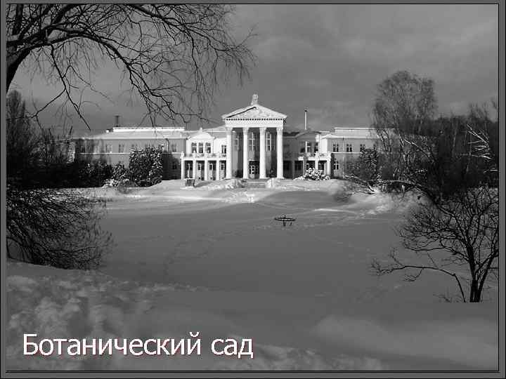 Ботанический сад 19 