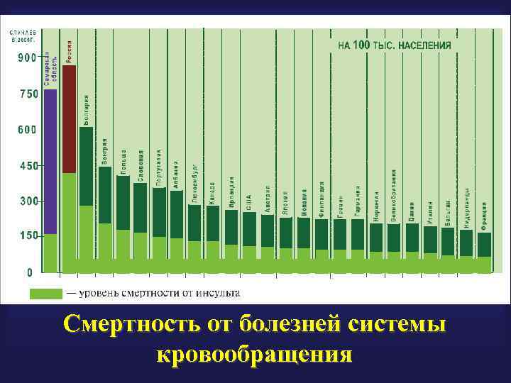 Смертность от болезней системы кровообращения 