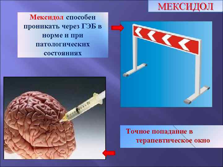 МЕКСИДОЛ Мексидол способен проникать через ГЭБ в норме и при патологических состояниях Точное попадание