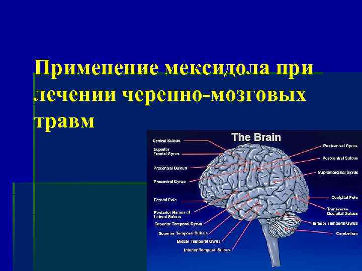 Применение мексидола при лечении черепно-мозговых травм 