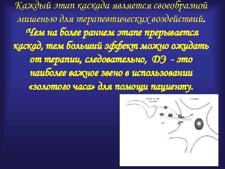 Каждый этап каскада является своеобразной мишенью для терапевтических воздействий. Чем на более раннем этапе