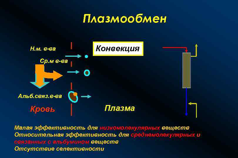 Плазмообмен Н. м. в-ва Конвекция Ср. м в-ва Альб. связ. в-ва Кровь Плазма Малая