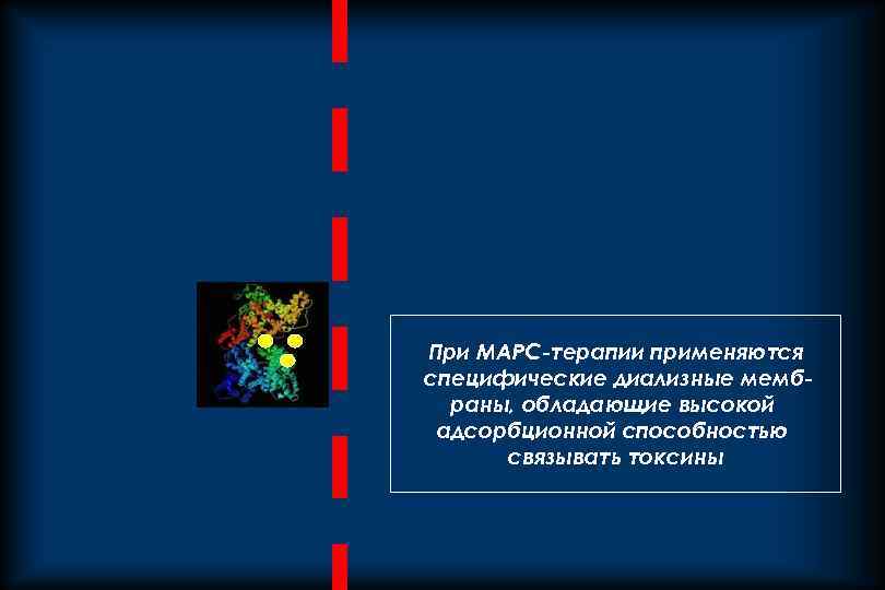 При МАРС-терапии применяются специфические диализные мембраны, обладающие высокой адсорбционной способностью связывать токсины 