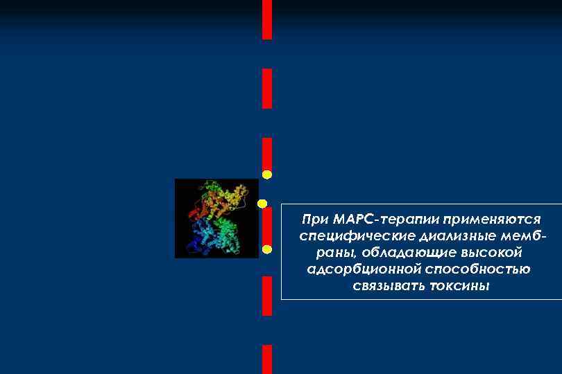 При МАРС-терапии применяются специфические диализные мембраны, обладающие высокой адсорбционной способностью связывать токсины 