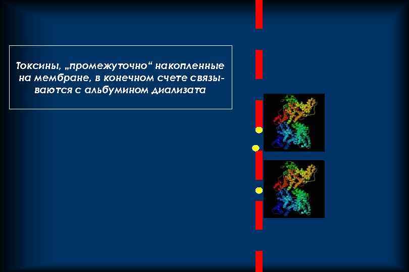 Токсины, „промежуточно“ накопленные на мембране, в конечном счете связываются с альбумином диализата 