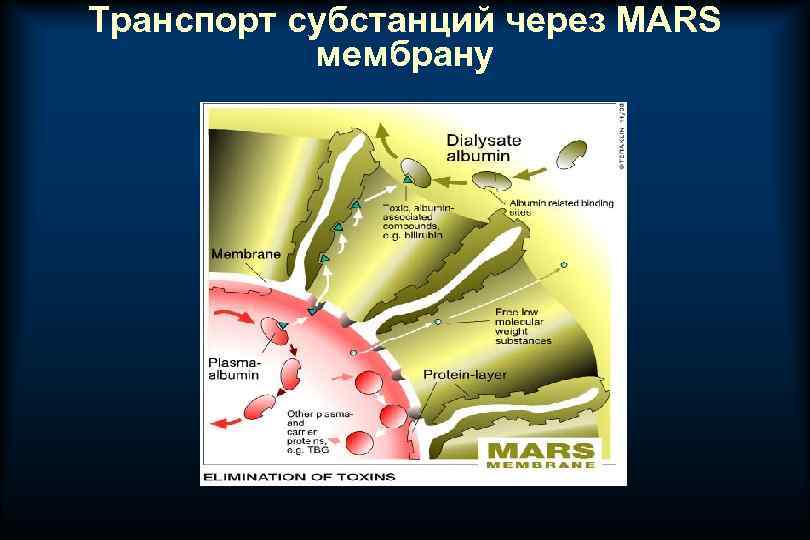 Транспорт субстанций через MARS мембрану 