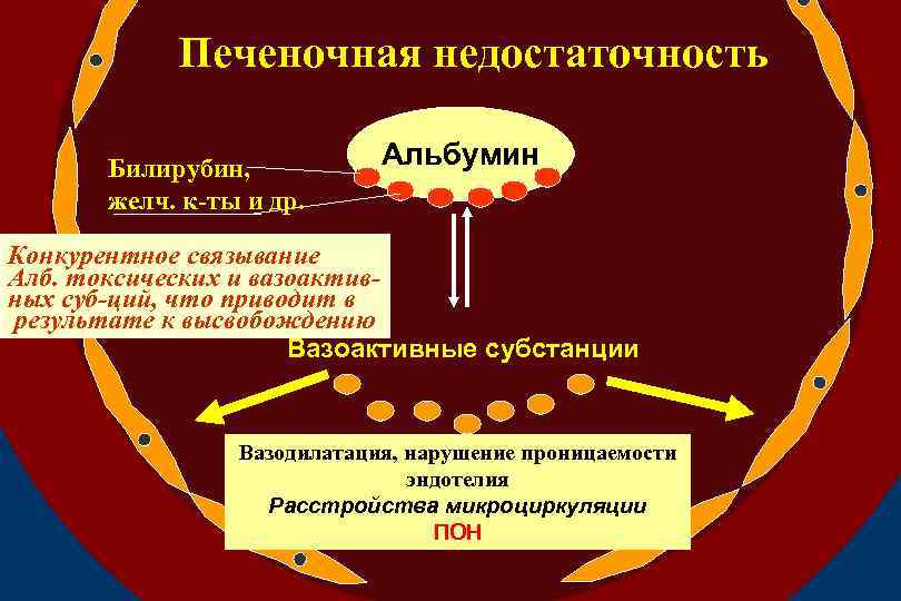 Токсическая печеночная недостаточность. Патогенез печеночной недостаточности. Печеночная недостаточность классификация. Печеночная недостаточность БХ. Осложнения печеночной недостаточности.