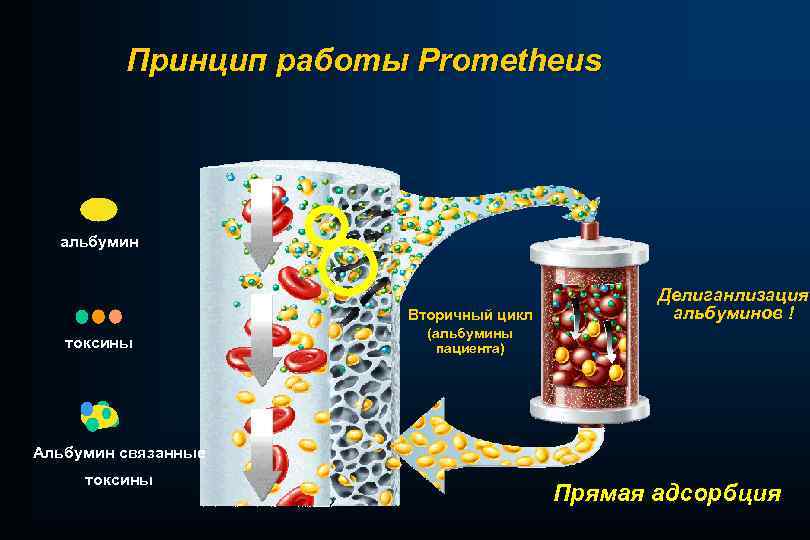 Принцип работы Prometheus альбумин Вторичный цикл токсины Делиганлизация альбуминов ! (альбумины пациента) Альбумин связанные