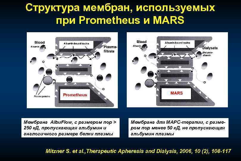 Структура мембран, используемых при Prometheus и MARS Prometheus Мембрана Albu. Flow, с размером пор