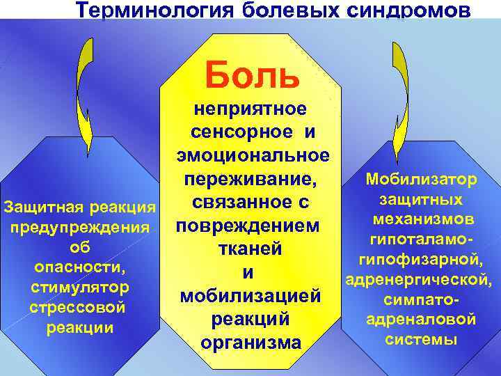 Терминология болевых синдромов Боль неприятное сенсорное и эмоциональное Мобилизатор переживание, защитных связанное с Защитная