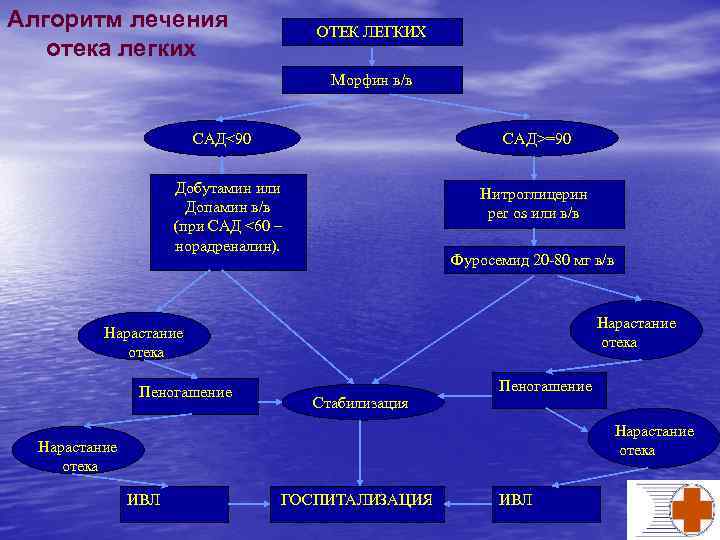 Алгоритм лечения отека легких ОТЕК ЛЕГКИХ Морфин в/в САД<90 САД>=90 Добутамин или Допамин в/в