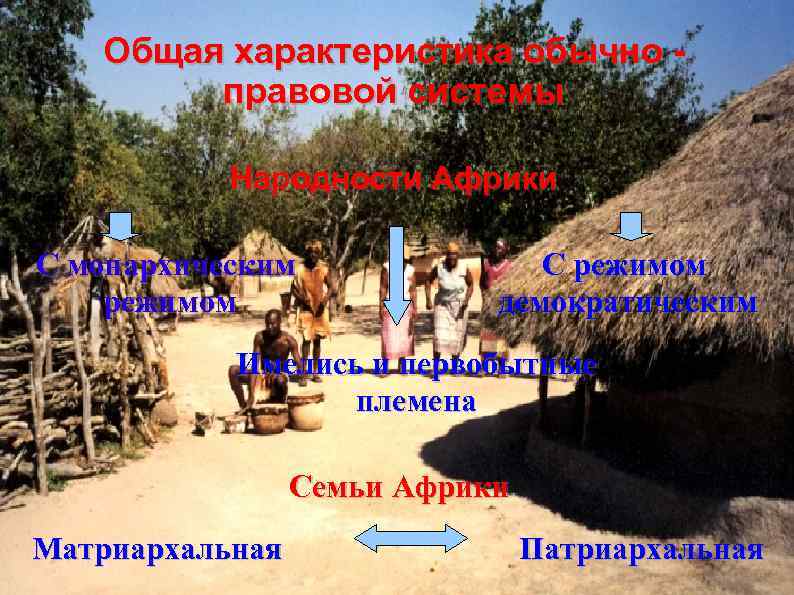 Общая характеристика обычно правовой системы Народности Африки С монархическим режимом С режимом демократическим Имелись