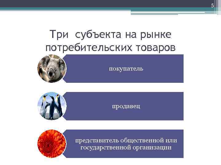 5 Три субъекта на рынке потребительских товаров покупатель продавец представитель общественной или государственной организации