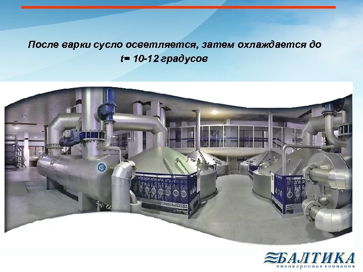 После варки сусло осветляется, затем охлаждается до t= 10 -12 градусов 