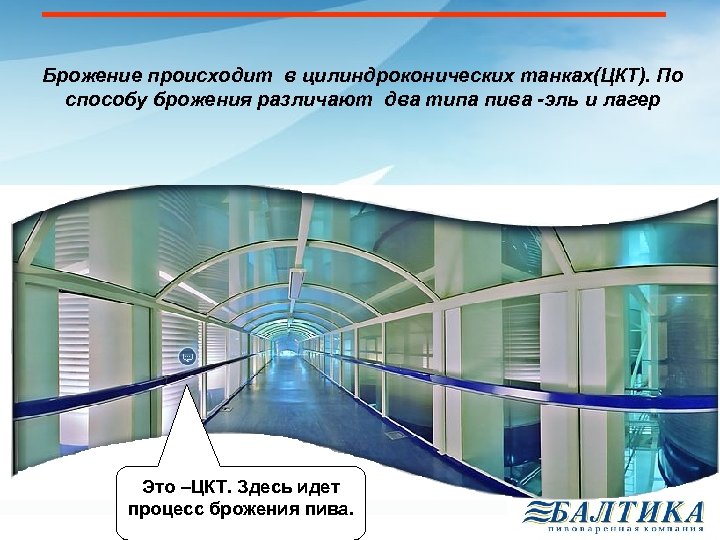 Брожение происходит в цилиндроконических танках(ЦКТ). По способу брожения различают два типа пива -эль и