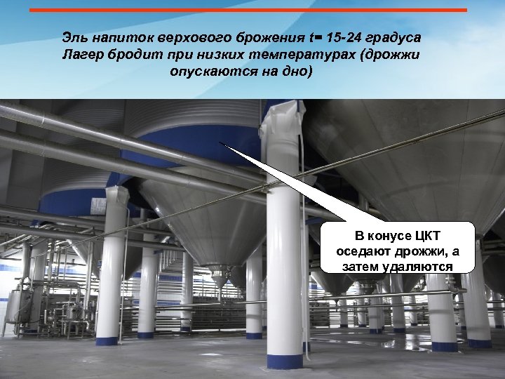 Эль напиток верхового брожения t= 15 -24 градуса Лагер бродит при низких температурах (дрожжи