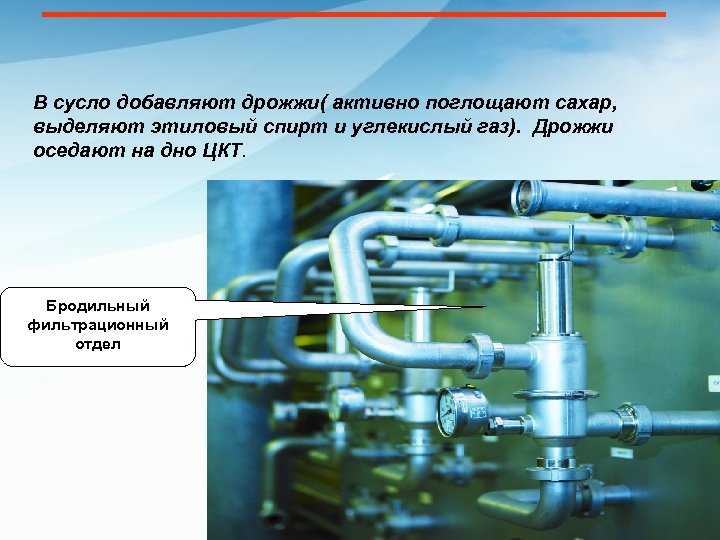 В сусло добавляют дрожжи( активно поглощают сахар, выделяют этиловый спирт и углекислый газ). Дрожжи