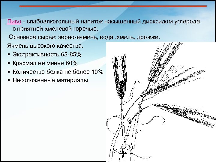 Пиво - слабоалкогольный напиток насыщенный диоксидом углерода с приятной хмелевой горечью. Основное сырье: зерно-ячмень,