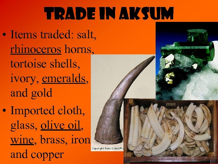 Trade in Aksum • Items traded: salt, rhinoceros horns, tortoise shells, ivory, emeralds, and