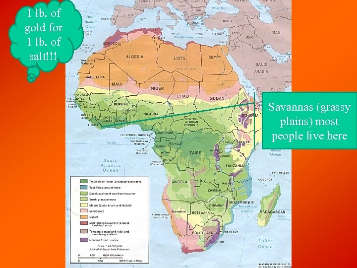 1 lb. of gold for 1 lb. of salt!!! Savannas (grassy plains) most people