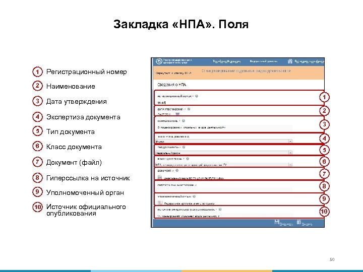 Выберите верные утверждения нормативный правовой акт. Поле НПА. Код НПА поле. Код поля НПА 0011. Код НПА В каком поле.