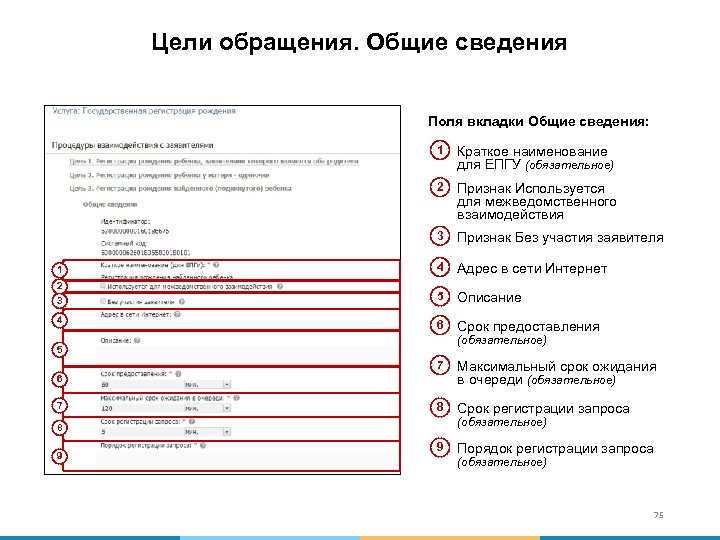 Цели обращения. Общие сведения Поля вкладки Общие сведения: 1 Краткое наименование для ЕПГУ (обязательное)