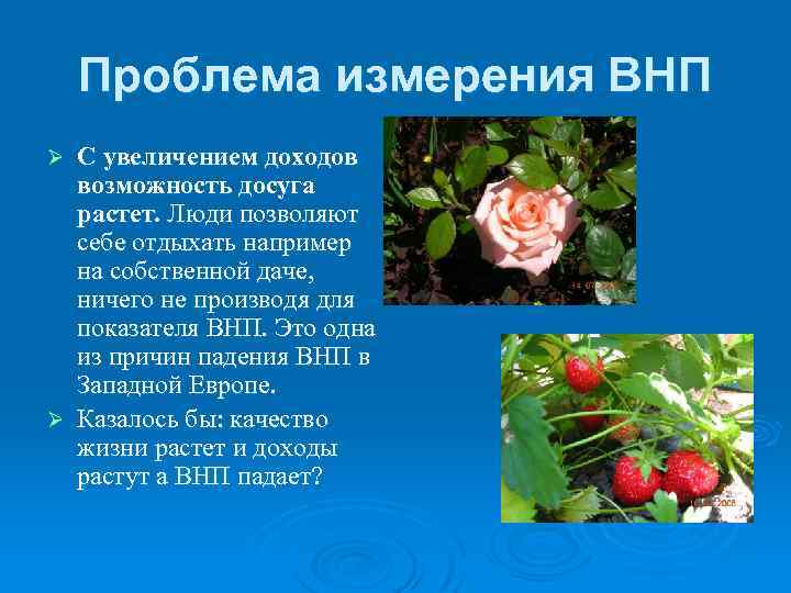 Проблема измерения ВНП С увеличением доходов возможность досуга растет. Люди позволяют себе отдыхать например