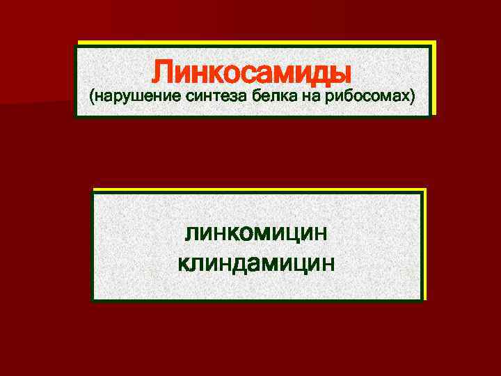 Линкосамиды (нарушение синтеза белка на рибосомах) линкомицин клиндамицин 