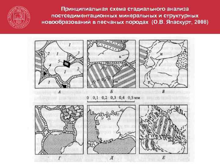 Принципиальная схема стадиального анализа постседиментационных минеральных и структурных новообразований в песчаных породах (О. В.