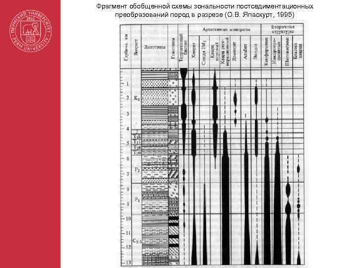 Фрагмент обобщенной схемы зональности постседиментационных преобразований пород в разрезе (О. В. Япаскурт, 1995) 