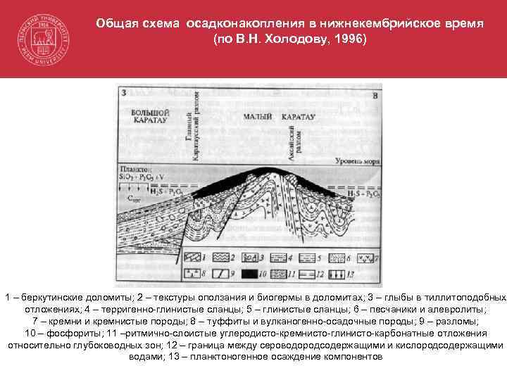 Общая схема осадконакопления в нижнекембрийское время (по В. Н. Холодову, 1996) 1 – беркутинские